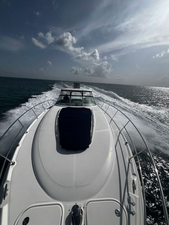 45ft Sea Ray Sundancer Luxury Tour in Grand Cayman