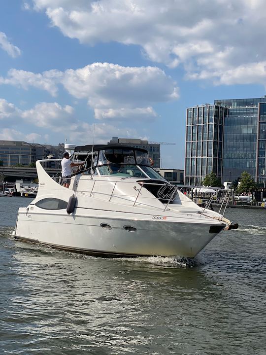 Monumental Cruiser | 37ft Carver Yacht for 12 passengers