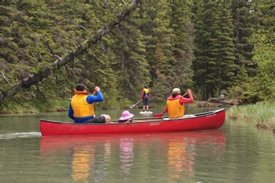 Baje por el río Bow o llévese esta belleza de vacaciones a los Kananaskis 