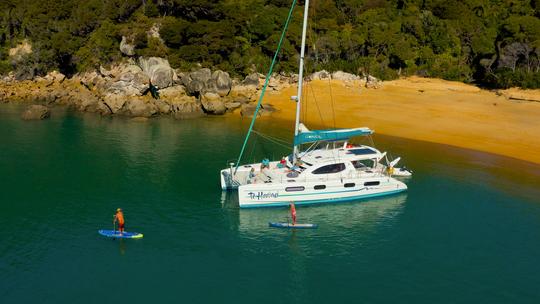 Catamarã à vela Leopard 46 - fretamento privado com capitão