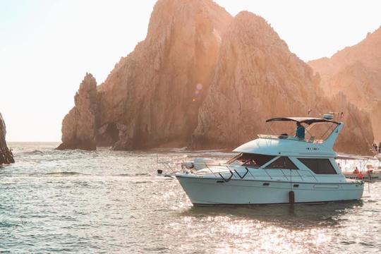 Yacht privé Bayliner de 42 pieds 15Px