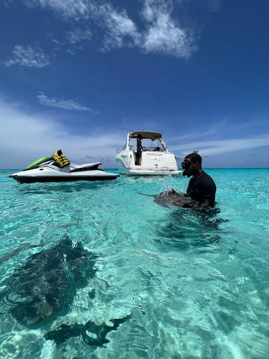 31 Foot SeaRay from Cayman