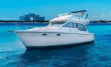 Luxury Yacht Meridian 40ft in Cancun