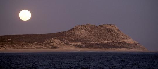 A Night to Remember: Experience the Magic of Cabo’s Full Moon Cruise