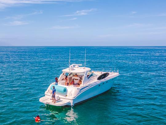 510 Sea Ray Sundancer, Sleek Design & Performance Silhouette