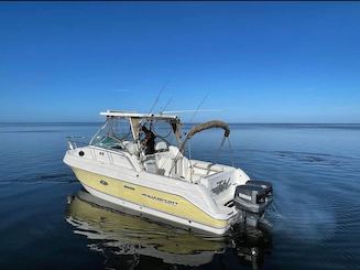 Great Cruiser or Offshore Boat | Aquasport 275 Explorer 