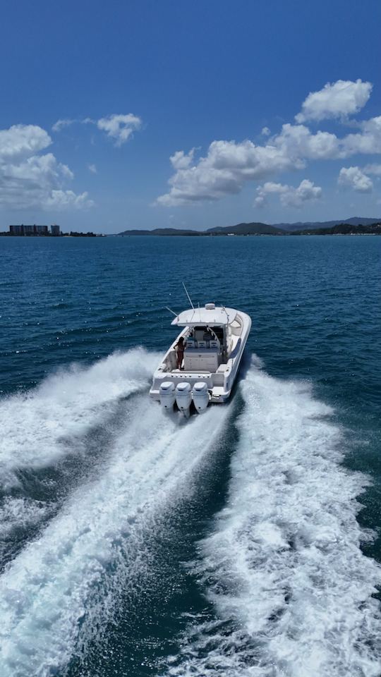 Private Boston Whaler Outrage 37' pouvant accueillir jusqu'à 10 personnes !