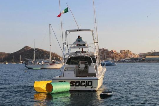 Cabo ideal de 38 pies para un día de crucero o pesca deportiva.