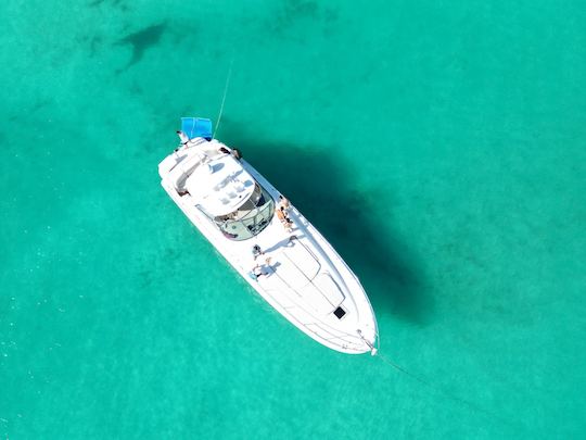 Sea Ray Sundancer 55' Todo incluido en Playa del Carmen, México