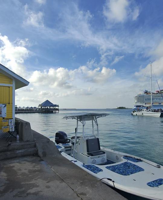 🎣, pacote para porcos nadadores, mergulho com snorkel e tartarugas