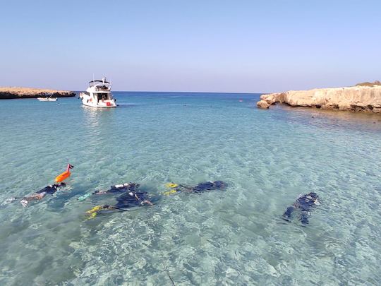 Excursions de plongée et cours de plongée sous-marine à Poli Crysochous