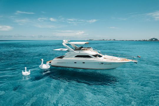 Hermoso yate a motor Sea Ray Flybridge de 50 pies