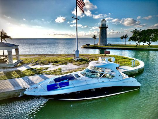 1 Hour free - Yacht in Miami: Sea Ray Sundancer 50ft