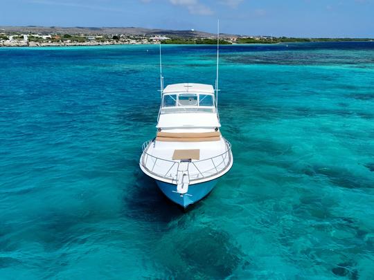 Private 47-ft Luxury Yacht in Aruba 