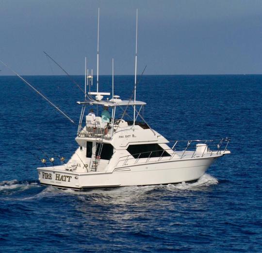 Location de pêche à bord d'un cabriolet Hatteras Sportfisher de 43 pieds à Kailua-Kona, Hawaï