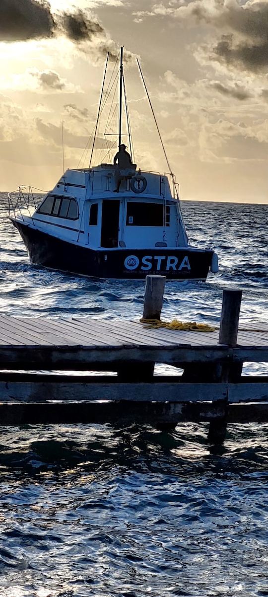 Fishing Charter 38’ Comfort Line Boat, in Cancun, Mexico