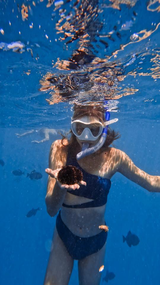 Waikiki Snorkel Boat Tour