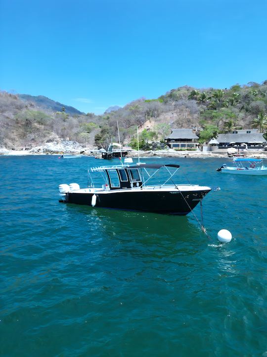 Luxury Experience with a 33ft Tender  Boat | Nuevo Vallarta (Includes food)