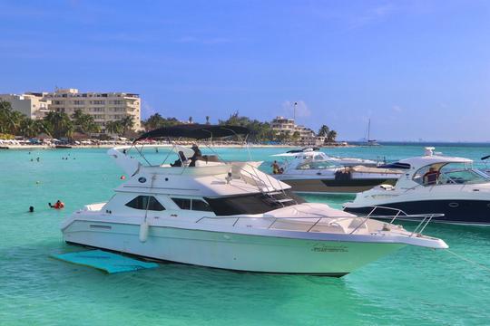 Yacht privé de 46 pieds à Cancún pour 15 personnes