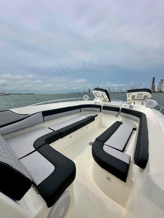 Excursion en bateau de sport d'île en île