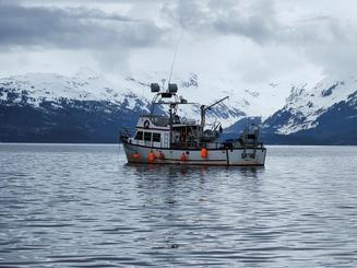 🚤 L'aventure ultime en Alaska : pêche, chasse et exploration ! 🎣🦌🗺️