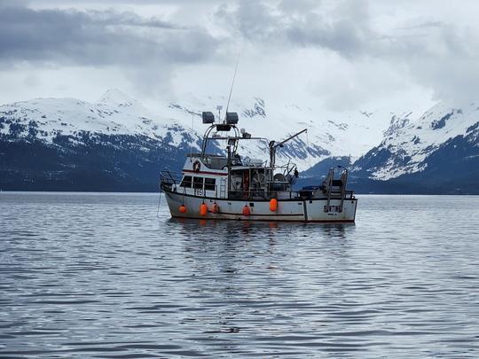 🚤 L'aventure ultime en Alaska : pêche, chasse et exploration ! 🎣🦌🗺️