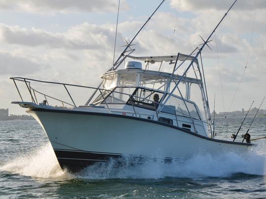 Carta de pesca de 31 pés em Cancún, Quintana Roo