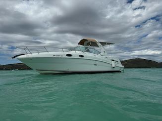 Sea Ray Sundancer 28' for up to 8 guests at Lajas