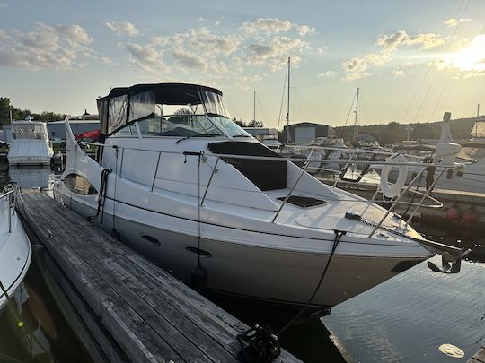 20 personnes - Yacht de luxe Carver Mariner de 36 pieds