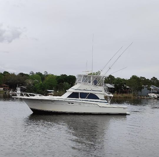 **NEW LISTING LOWERED PRICES** Deep sea fishing, cruises, military discounts!