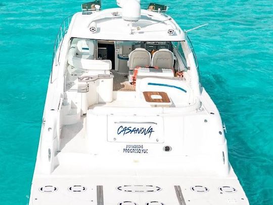 48ft Sea Ray Sundancer Motor Yacht in Cancún - up to 15 people capacity