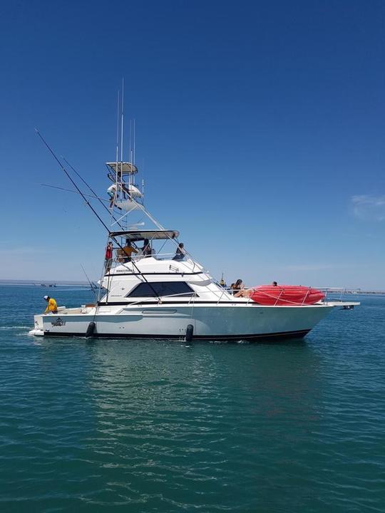 O clássico e belo iate Bertram de 42 pés, ideal para pesca esportiva.