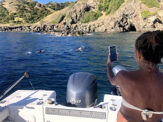 Incrível carta particular de mergulho com snorkel para os recifes de Rincon e da Ilha Desecheo