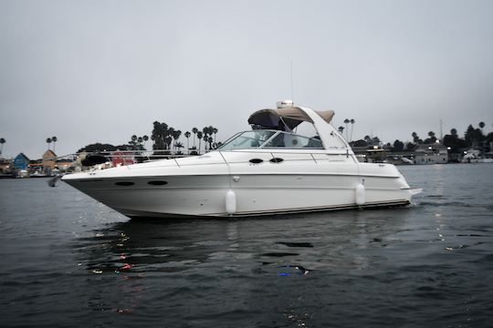 36FT Luxury Sea Ray Yacht W/CUSTOM SOUND SYSTEM