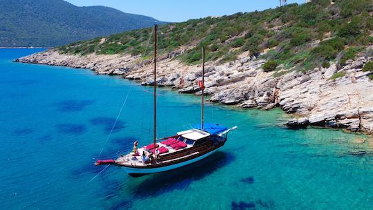 Passeio privado de barco Gulet com almoço por 6 horas em Bodrum