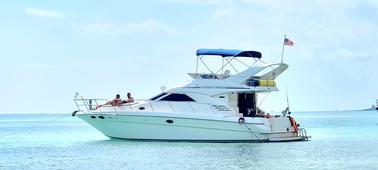 All-Inclusive 4-Hour Luxury Private Yacht Charter Experience in Riviera Maya