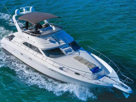 Enjoy Miami In 51FT SEA RAY FLY!!! 🌊🌊