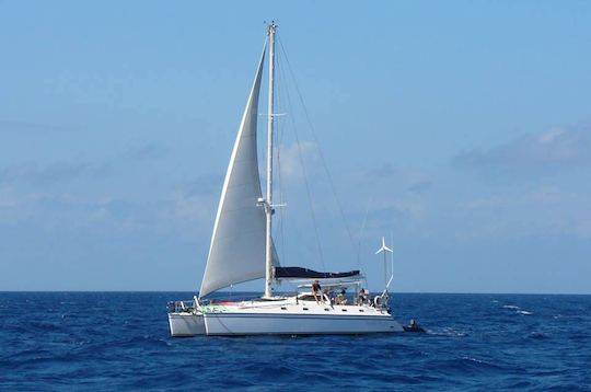 Catamarán de 40' - Navega