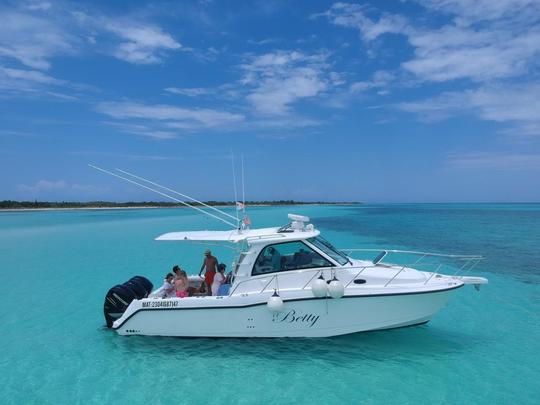 37’ Boston Whaler for 10 Passengers. Visit el Cielo Cozumel