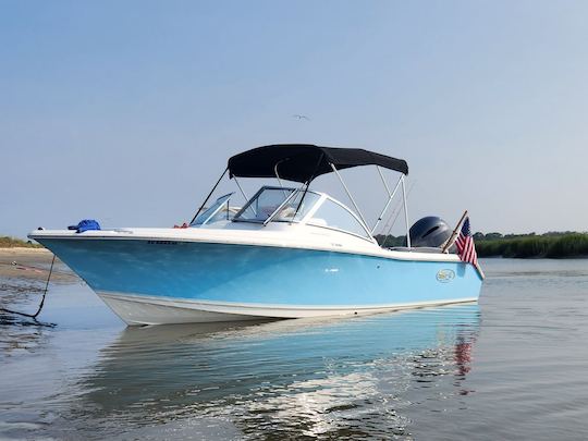 Une chasse en mer magnifique et super propre de 21 pieds à Charleston, en Caroline du Sud