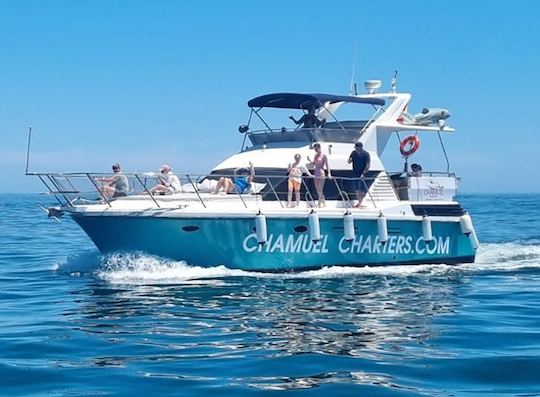 Private Luxury Yacht Charter for up to 12 People