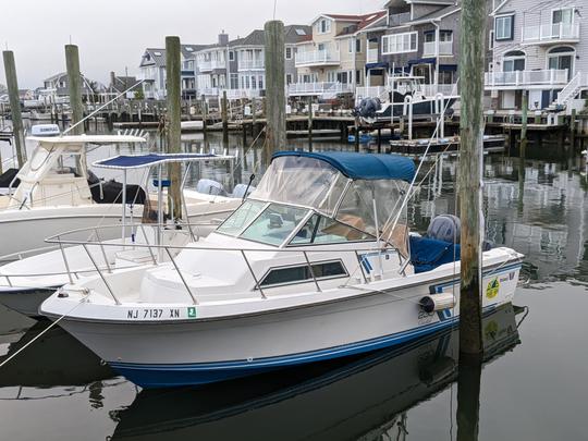 Créez des souvenirs en pêchant ou en faisant une croisière sur le yacht Wellcraft 230