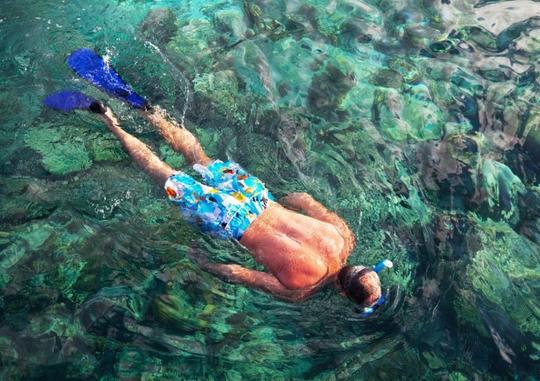 Cruzeiro de dia inteiro em Dhow em Khasab com observação de golfinhos