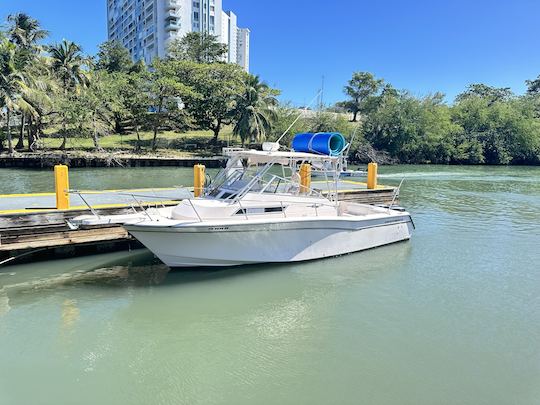 船長とのプライベートボートトリップ/チャーターで究極のPR体験を 🛥️🇵🇷