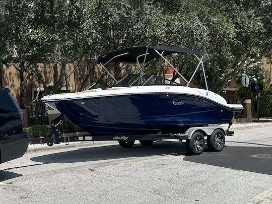 2024 Searay spx19 Sport Boat