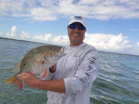 Pêche sur les récifs, plongée avec tuba et barbecue sur la plage à San Pedro, au Belize.