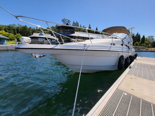 Barco Regal Cruiser de 30'. Cabina completa, amplia terraza de baño en Lake WA y Lake Union 