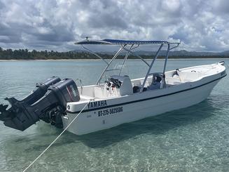 29ft Yamaha Speed Boat in Las Terrenas