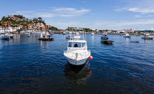 Location de yacht personnalisé de 36 pieds et de pêche sportive à Mazatlan