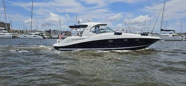 420 SEARAY LUXURY YACHT AVAILABLE FOR CUSTOMIZED HARBOR TOURS